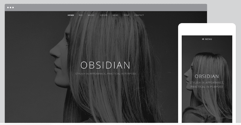 obsidian wordpress theme